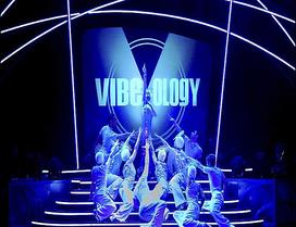 Vibeology